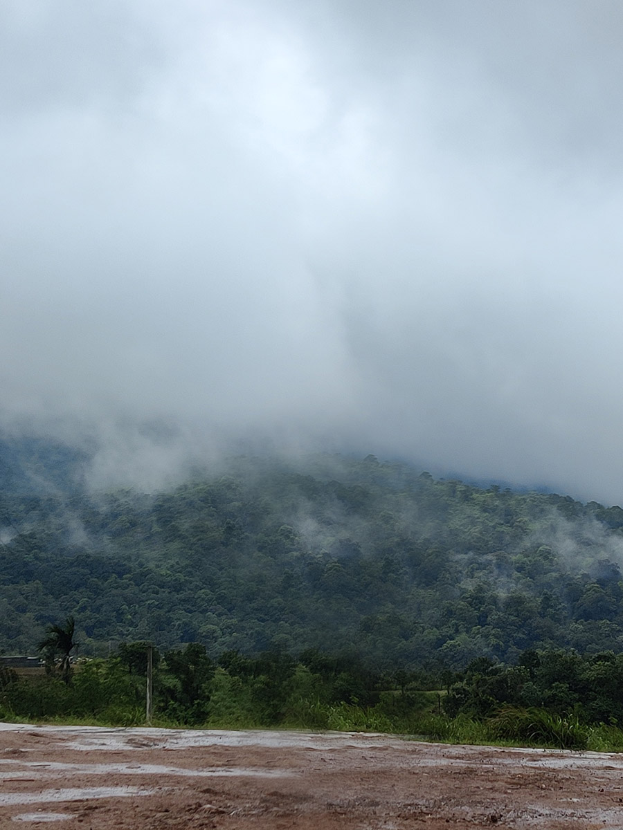 Cloud-View