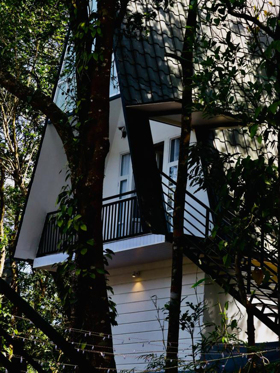 top 10 resorts in wayanad