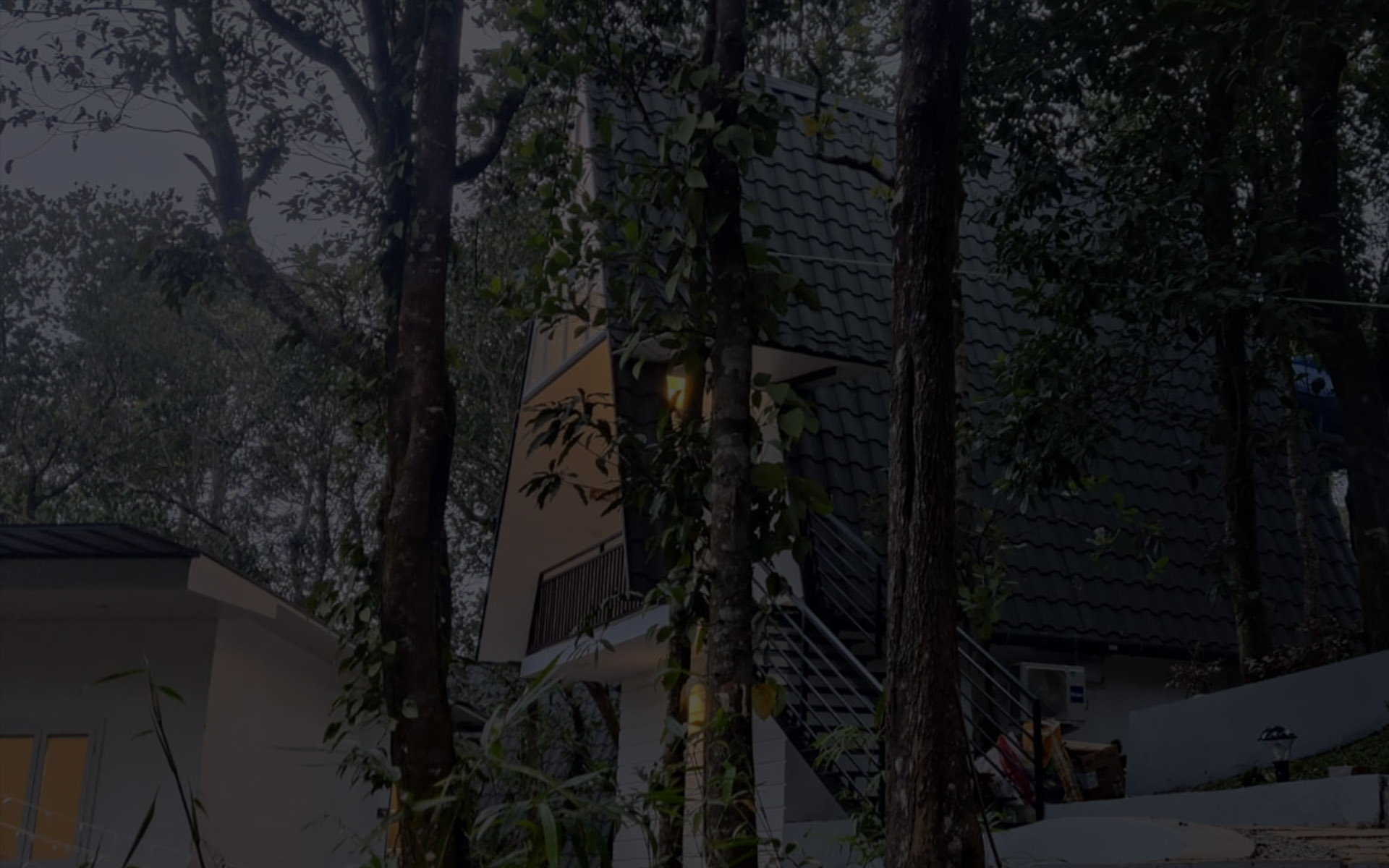 resorts in wayanad